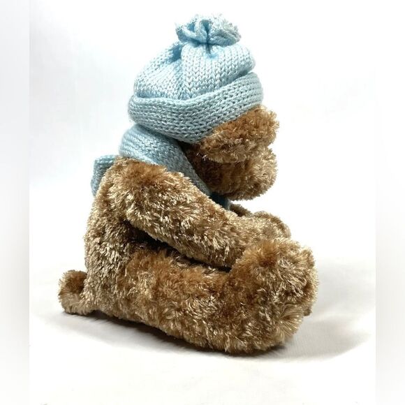 Dan Dee Collectors Choice Winter Bear Plush It’s A Boy Blue Scarf Hat Hug Arms - Picture 4 of 6
